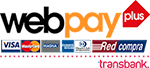 logo web pay plus